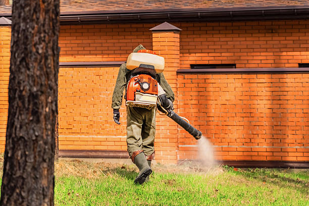 Trusted Bed Bug Control service in Prineville, OR - Nex Pest Control
